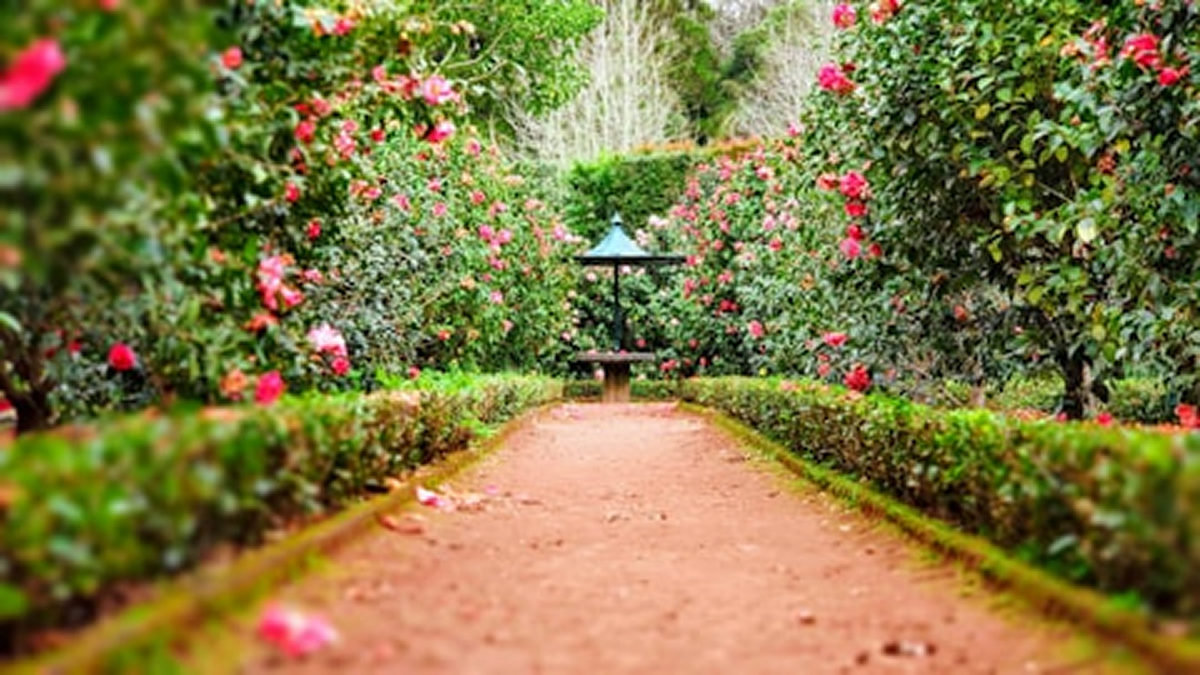 Garden ceremony venue surrounded by Mount Lebanon scenery